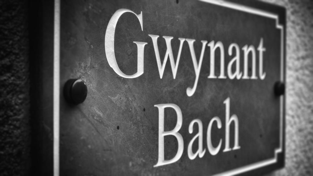 Gwynant Bach Villa Rowen ภายนอก รูปภาพ